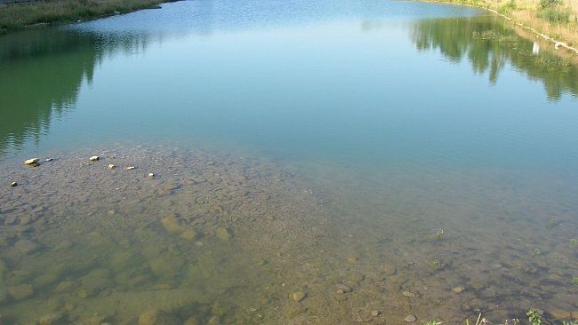 Calenzano: fare il bagno è pericoloso