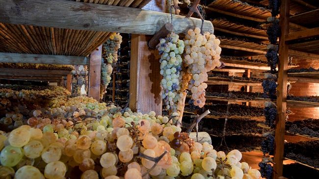 A Montepulciano il primo grande appuntamento sul Vin Santo