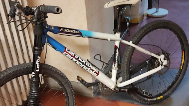 Flagranza di reato, ladro di biciclette arrestato a Firenze