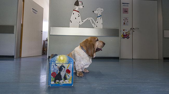 Sanità e Salute nel 2017: i toscani stanno bene