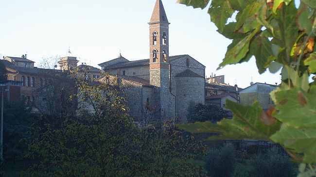 Calici di Stelle: fra gusto e divertimento aspettando San Lorenzo