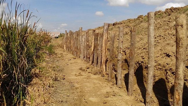 Bonifica: lavori in corso a Signa sul fosso di Piano