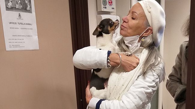 Cani e gatti potranno entrare in strutture sanitarie ed ospedali