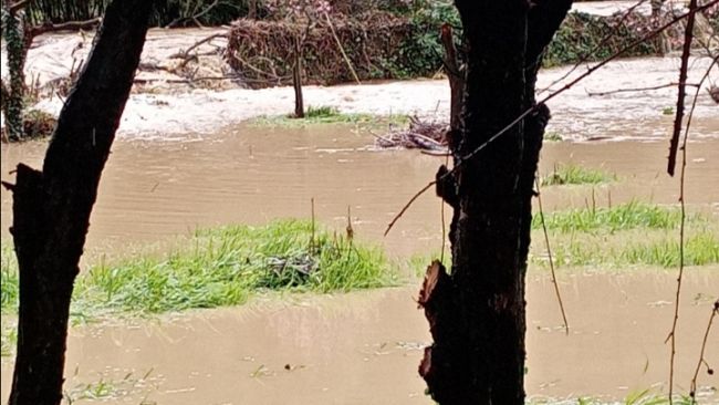 L'invaso di Bilancino non è esondato