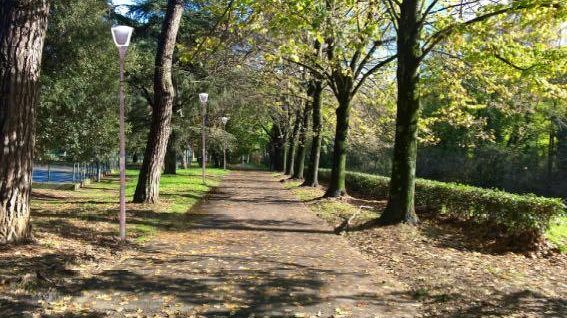 Parco viale Tanini: cominciati i lavori per l'impianto di illuminazione