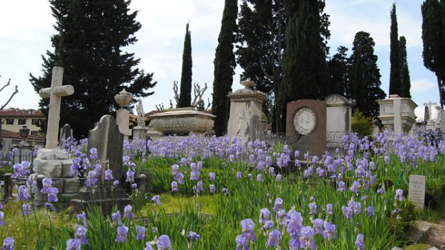 Alla scoperta del cimitero degli inglesi con gli Angeli del Bello