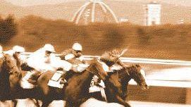 Maxi progetto per l'ippodromo delle Mulina, fra teatro, equitazione e noleggio bici