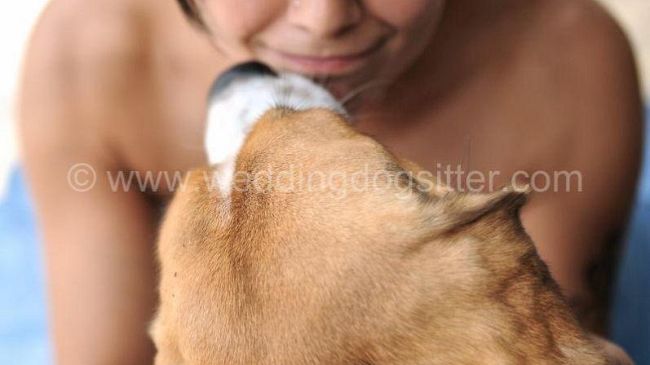 Cani guida, scuola aperta per visite