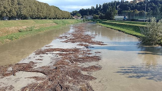 piena-dellarno-colpa-delle-canne-tagliate