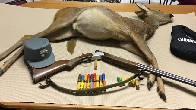 Caccia, segnalazioni ai Carabinieri Forestale per attività illecite durante la notte