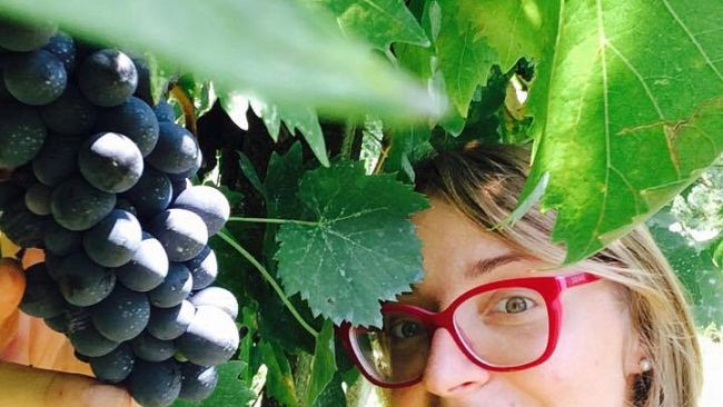 Vinitaly: il Consorzio del Chianti presente con quasi 200 etichette in degustazione