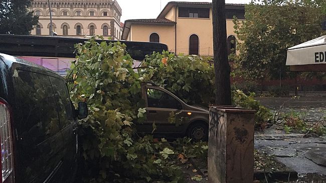 Maltempo su Firenze: alberi caduti, si ferma acquedotto all'Anconella