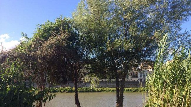 Firenze: nella voragine sul Lungarno sprofonda la gestione del servizio idrico