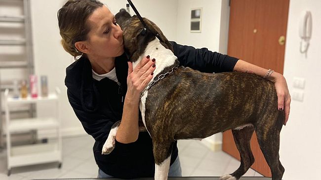 A Siena apre ‘Piccolo Principe’ il primo centro benessere per animali