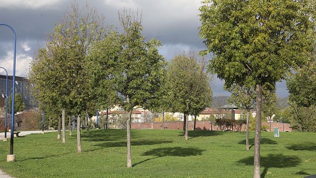25.000 metri quadrati e 230 alberi in più al Parco di San Donato