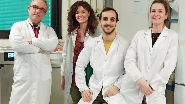 Scienza: asse intestino-cervello, nuove scoperte