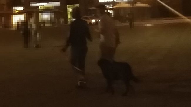 Prato, vigili in borghese contro gli schiamazzi notturni: multe e lamentele