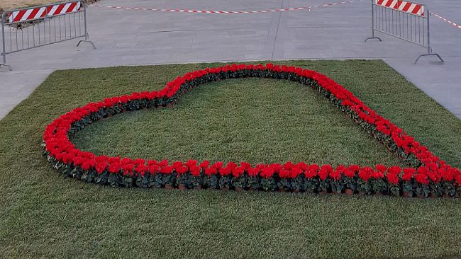 Donare un albero per San Valentino, che idea