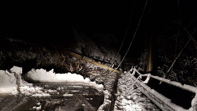 Pioggia: a Firenze anche domani allerta gialla