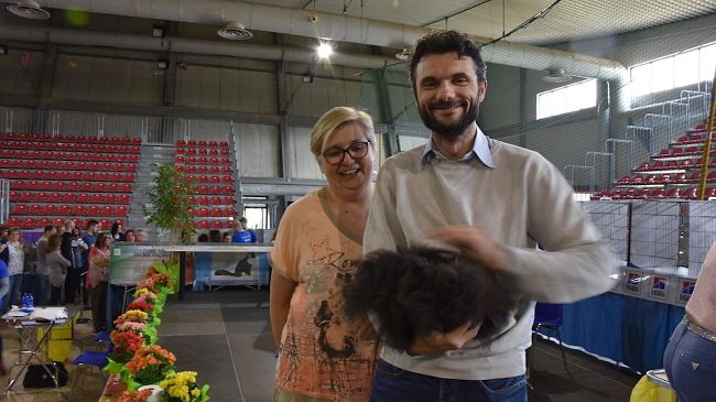 Prato: la Mostra internazionale felina