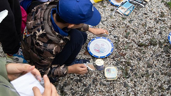 Open week al gattile di Empoli