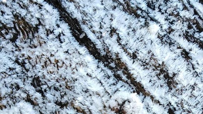 Firenze, notte sotto zero: toccati i -6 e domattina ancora ghiaccio