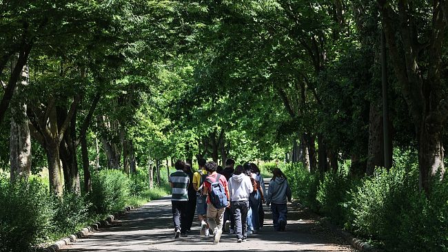 oltre-la-cronaca-il-disordine-sociale
