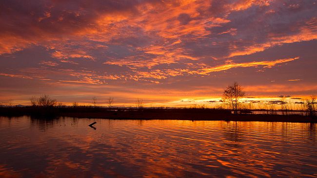 Escursioni nelle notti di San Lorenzo