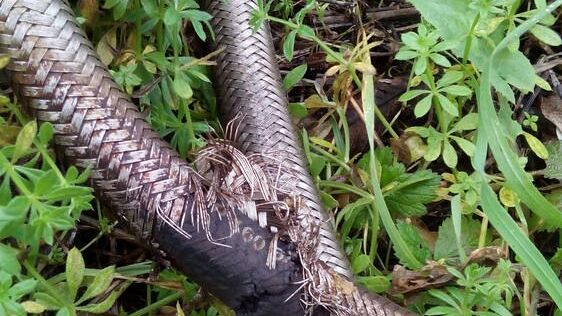Ferrovie: 47 treni regionali bloccati dalle 6.40 alle 10.30