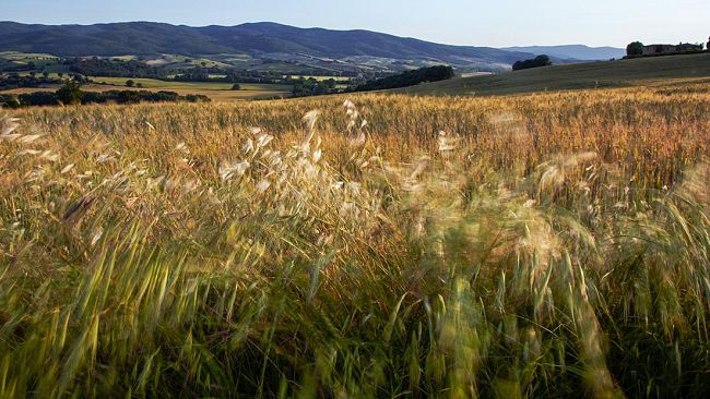 In Toscana aree interne verso lo spopolamento, ma sono il 72% dell'intera Regione