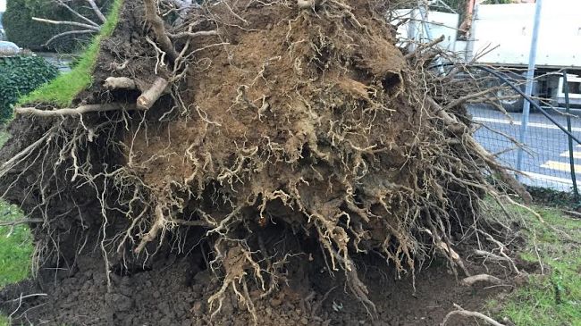 Maltempo: ancora vento forte su gran parte della regione