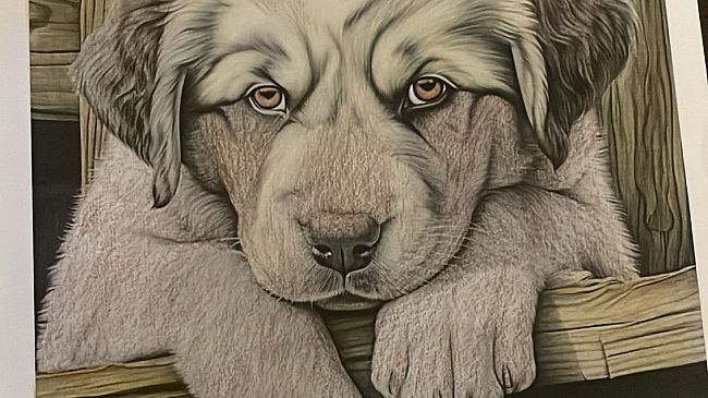 Bravissime pittrici in tarda età, bellissima storia in rsa