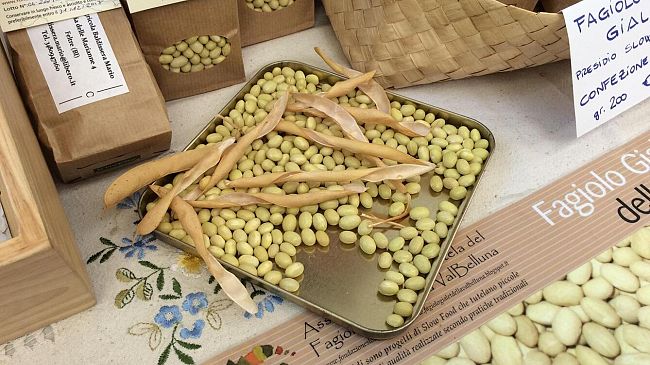 Il 10 febbraio è la Giornata mondiale dei legumi