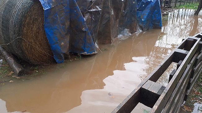 Prorogato a Firenze codice giallo per la pioggia