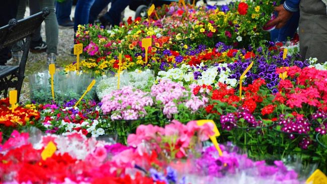 fiorinfiera-a-sesto-fiorentino-il-21-e-22-settembre