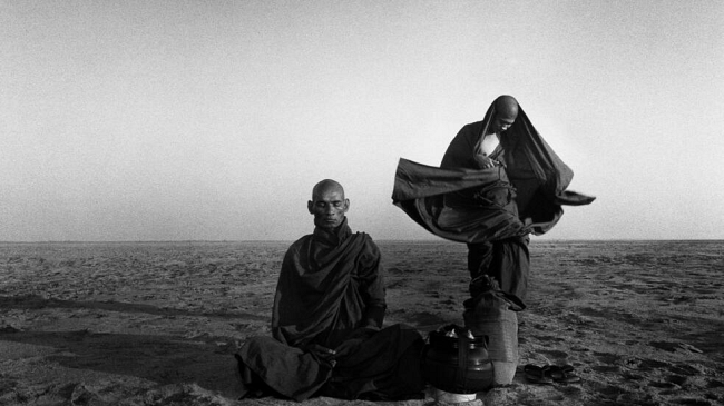     L’arte dell'immagine in Versilia: