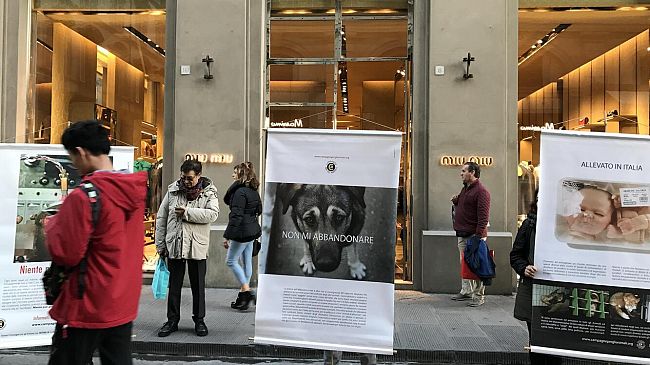 Oggi a Firenze la Giornata mondiale dei diritti degli animali