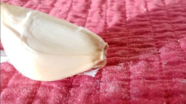 aglione-valdichiana-la-toscana-vuole-la-dop