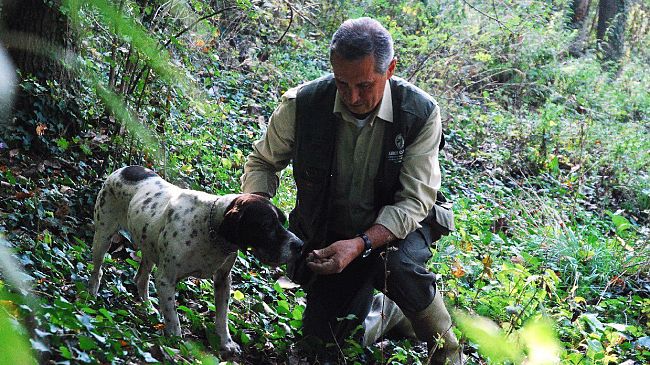 Due giorni dedicati al tartufo e ai prodotti tipici del territorio di Volterra