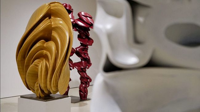 prorogata-la-mostra-tony-cragg-transfer