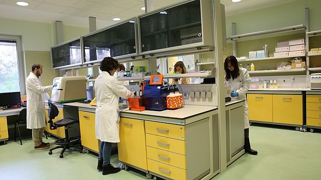 Lotta al neuroblastoma nei bimbi: un recettore regala nuove speranze