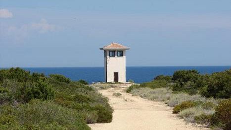 Progetto Pianosa per detenuti-agricoltori