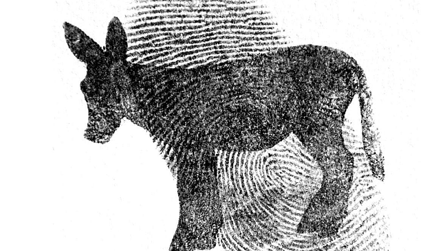 L'arte che unisce i popoli: Israele e Palestina al Centrum Sois Sete Luas