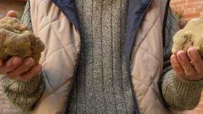 Tartufi da mezzo chilo: è caccia grossa nelle Crete<BR>Un successo per funghi e novello aspettando l'olio novo