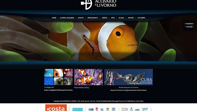 Acquario di Livorno rifa il look sul web