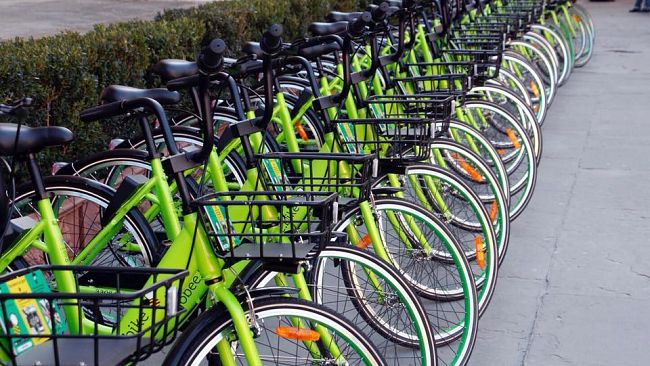 Bike sharing, troppi atti vandalici: il noleggio è insostenibile
