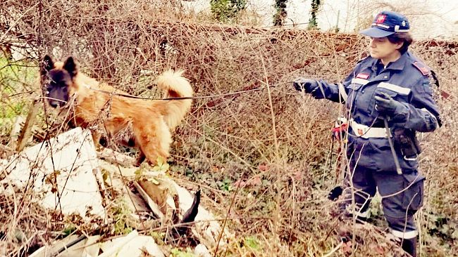 Ugnano, il cane Nello scova 5 dosi di cocaina