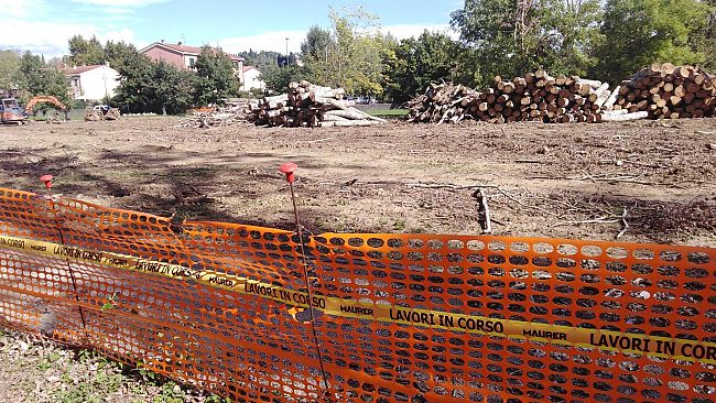 Pioppeta Galluzzo, finita la prima fase di abbattimenti: le foto