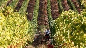 Eccellenze enologiche negli antichi borghi a maggio e giugno