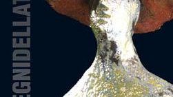 Paolo Staccioli: <I>I Segni della Terra</I> al Museo ed Area Archeologica di Fiesole<BR>Ultimo fine settimana, a Fiesole, per visitare la mostra su Giorgio de Chirico